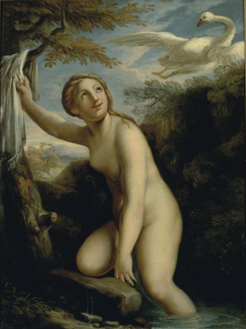 Leda